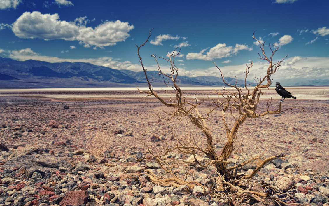 Impacto de la sequía en los embalses del país